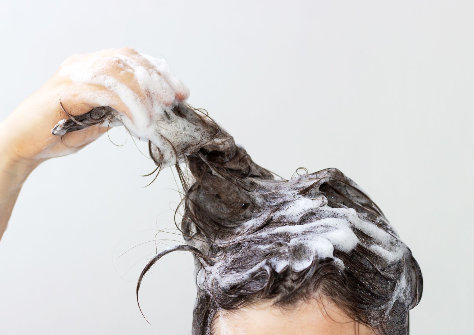 dandruff shampoos